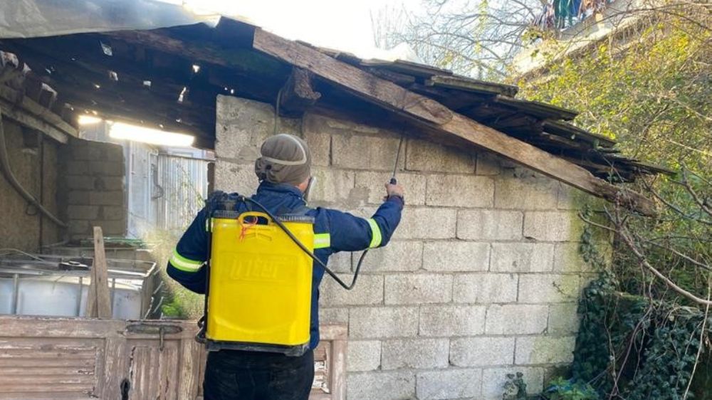 Zonguldak’ta kahverengi kokarca ile mücadele için vatandaşlara uyarı