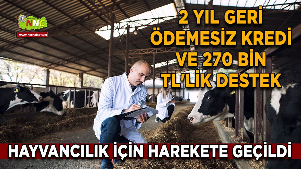 2 yıl geri ödemesiz kredi ve 270 bin TL'lik destek Hayvancılık için harekete geçildi