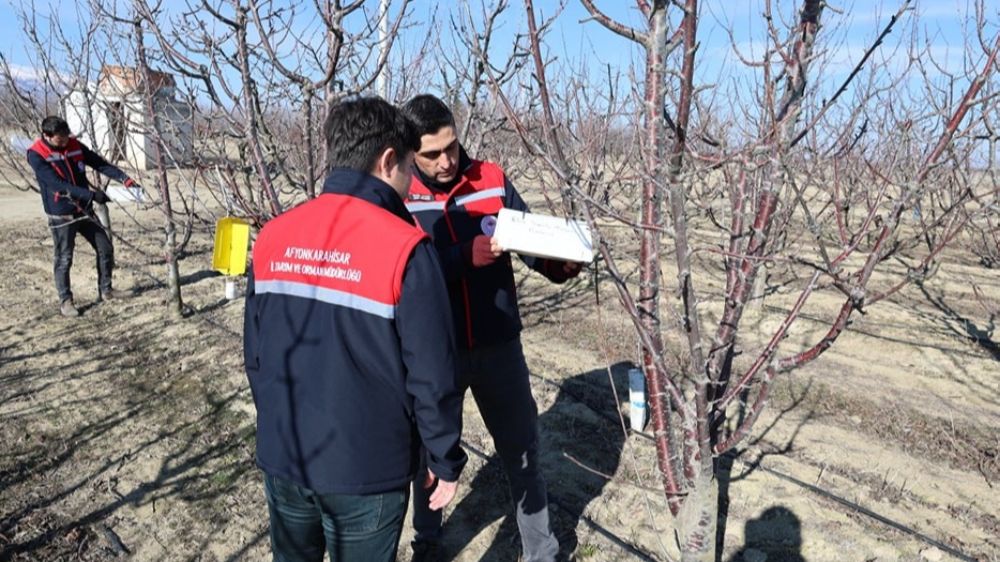 Afyonkarahisar'da hasat verimini arttırma çalışmaları devam ediyor