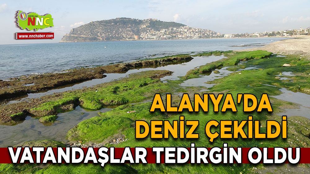 Alanya'da deniz çekildi Vatandaşlar tedirgin oldu Uzman isim açıklık getirdi