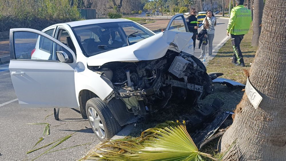 Antalya'da kaza otomobil palmiye ağacına çarptı Plakası ağaca yapıştı