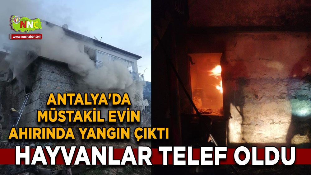 Antalya'da müstakil evin ahırında yangın çıktı Hayvanlar telef oldu