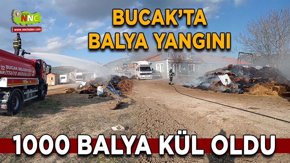 Burdur Bucak’ta balya yangını 1000 balyayı alevler sardı