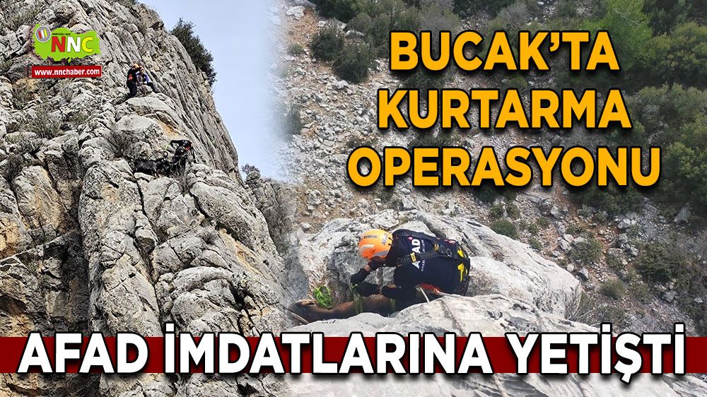 Burdur Bucak'ta dağda mahsur kalan keçiler