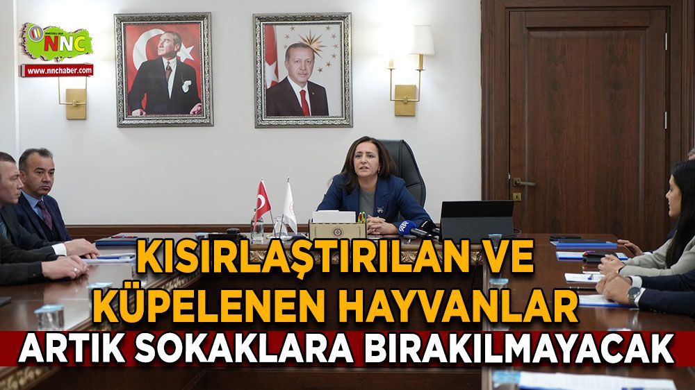 Burdur'da hayvan bakım evleri iyileştirilecek, yeni barınaklar yapılacak