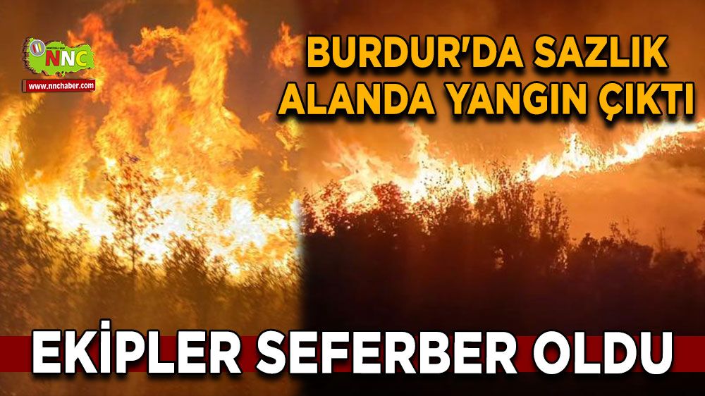 Burdur'da sazlık alanda yangın çıktı Ekipler seferber oldu