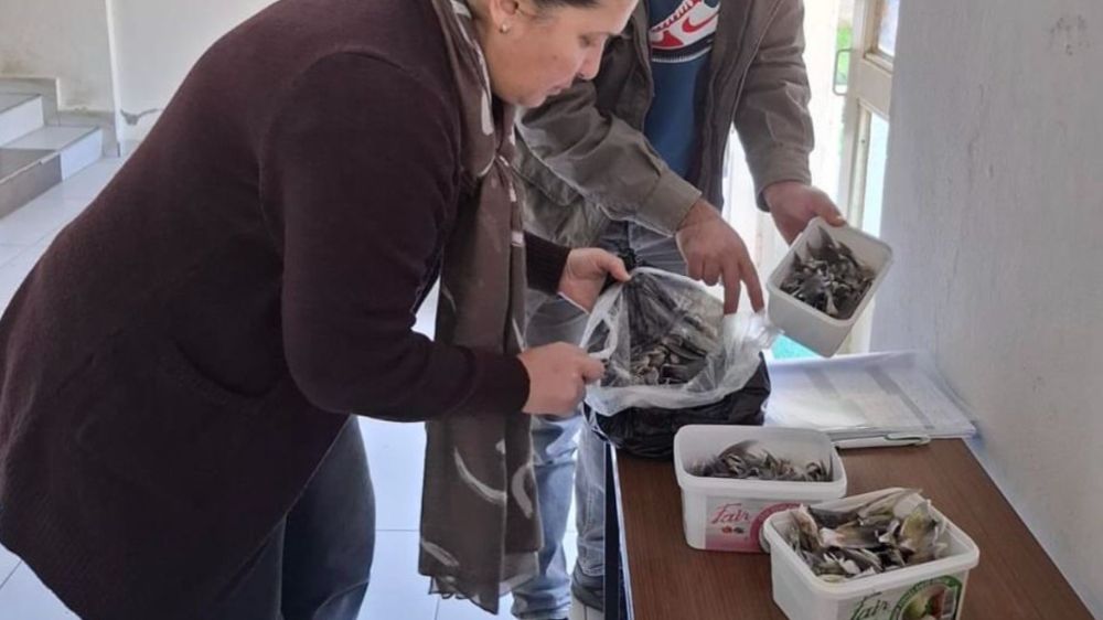 Gazipaşa'da balon balığıyla mücadele kapsamında balıkçılara bilgilendirme ve destek