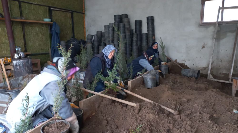 Karacabey Belediyesi’nden doğaya saygılı estetik çalışmalar