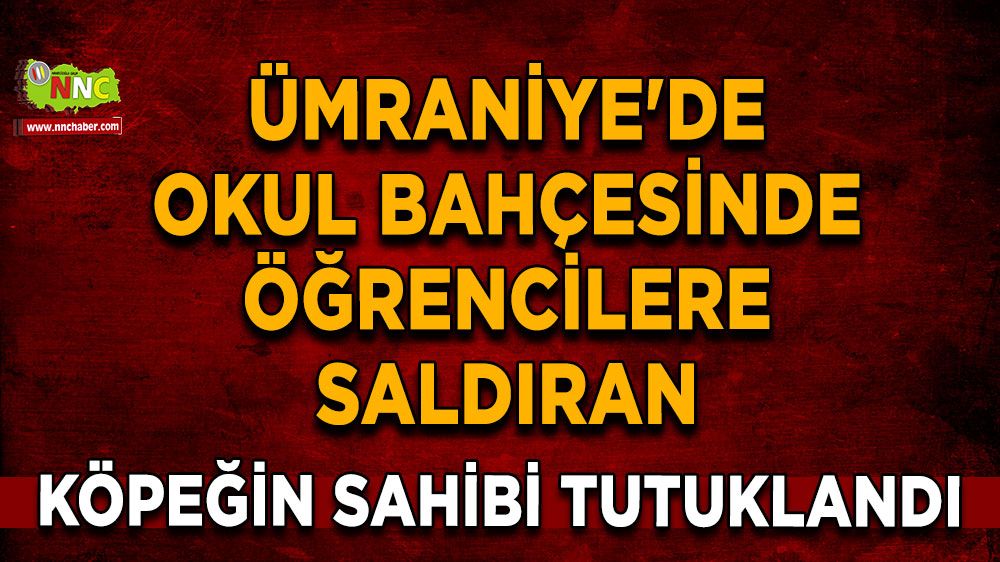 Ümraniye'de okul bahçesinde öğrencilere saldıran köpeğin sahibi tutuklandı