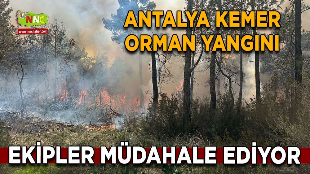 Antalya Kemer orman yangını Ekipler müdahale ediyor