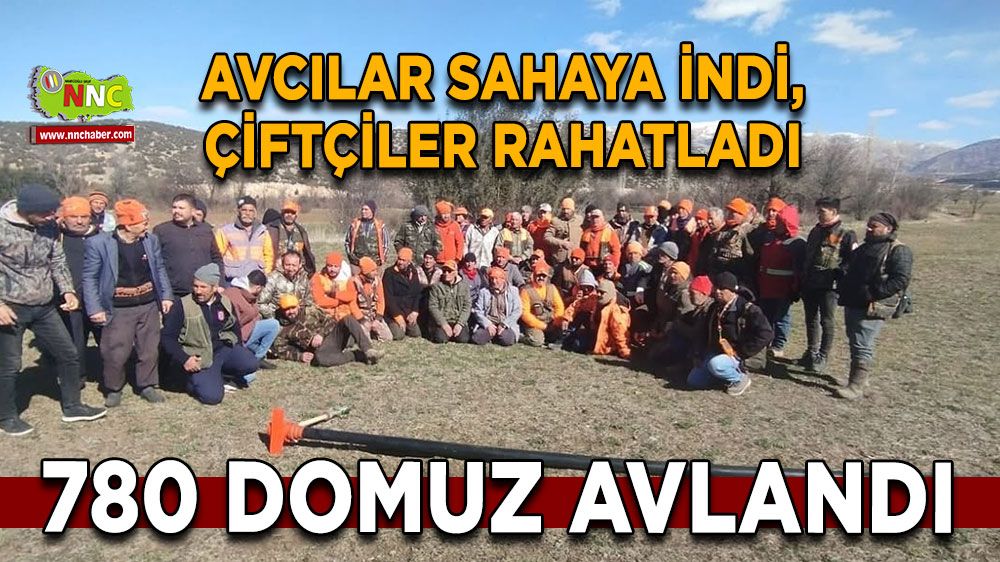 Avcılar sahaya indi, çiftçiler rahatladı 780 domuz avlandı