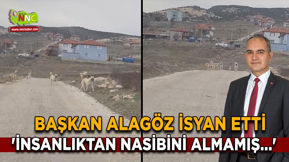 Başkan Ümit Alagöz isyan etti 'İnsanlıktan nasibini almamış...'