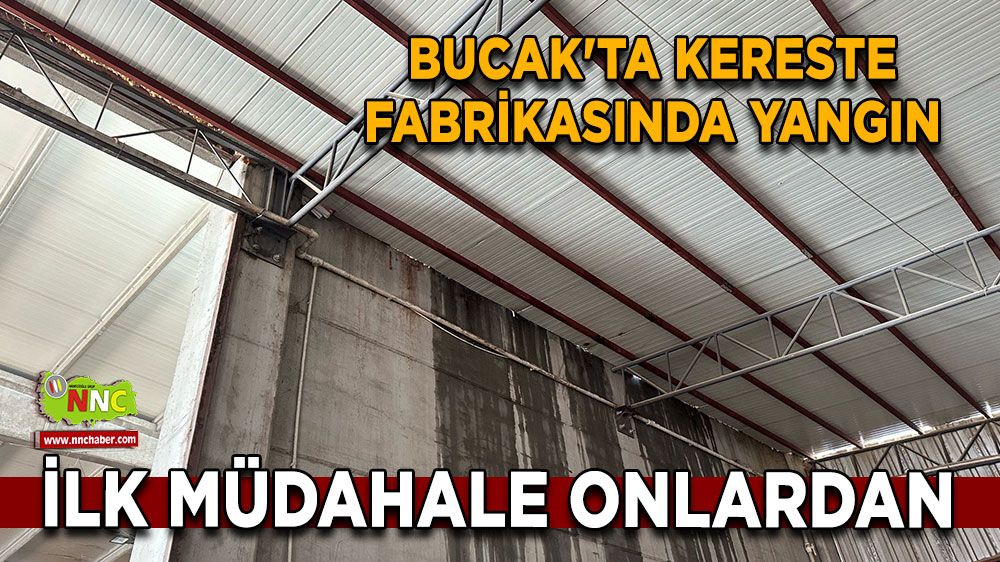 Bucak'ta kereste fabrikasında yangın İlk müdahale onlardan