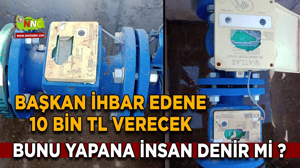 Bunu yapanlar insan mı? Başkan ihbar edene 10 bin TL verecek