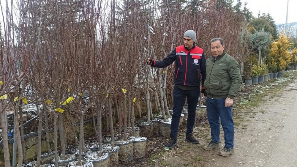 Fidan satış noktalarında denetim