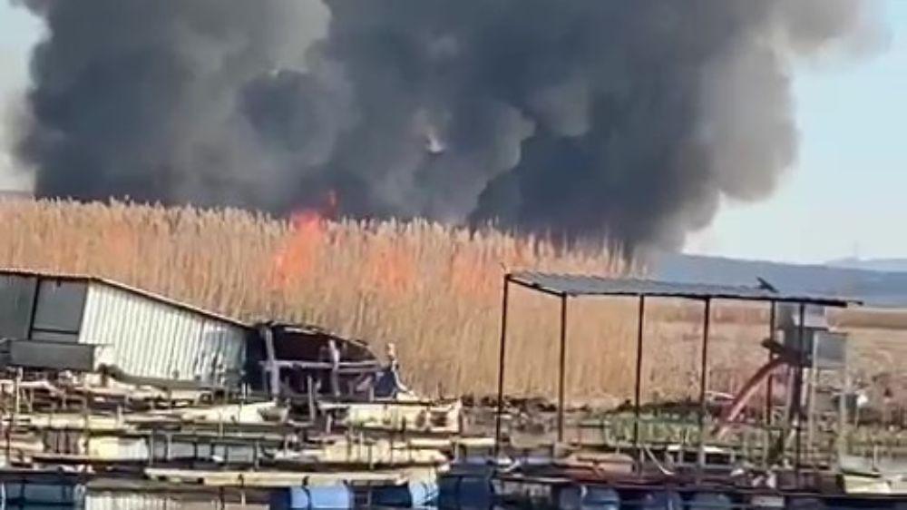 Gökgöl’deki sazlıklar ateşe verildi