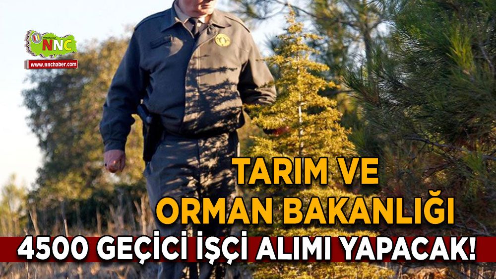 Tarım ve Orman Bakanlığı 4500 geçici işçi alımı yapacak!