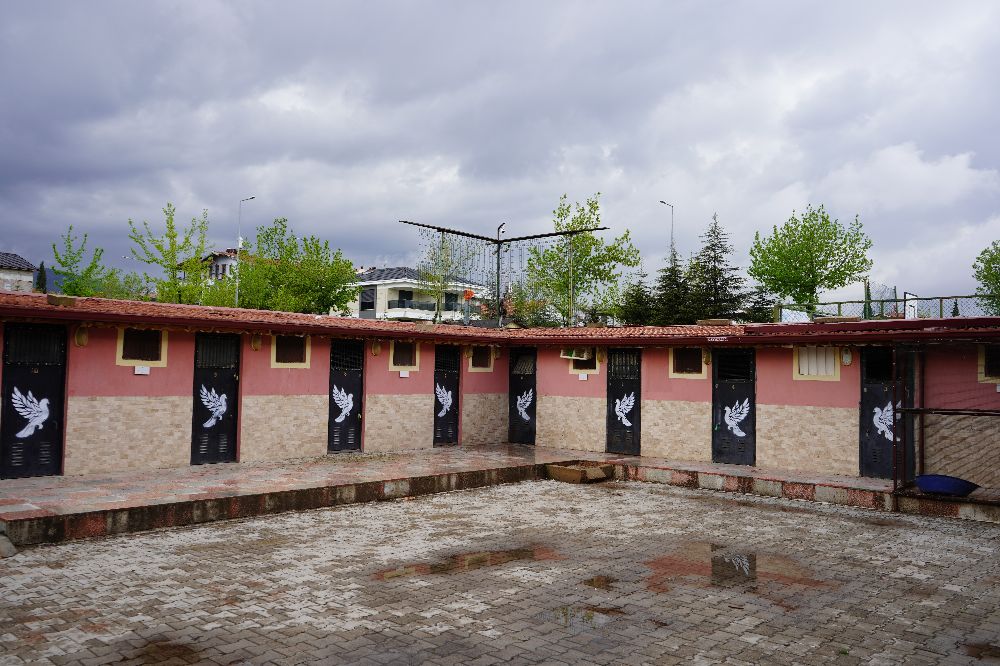 42 yıllık hobisi, profesyonel tesise dönüştü; 'güvercin apartı' kurdu