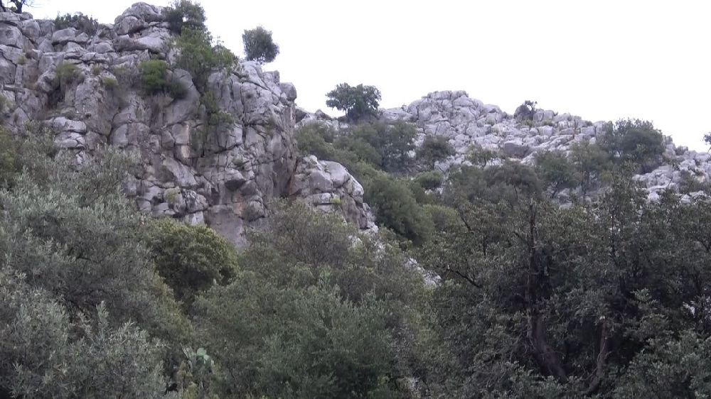 Antalya'da bunalıma girip kayalıklara çıkan genç, ekipleri alarma geçirdi