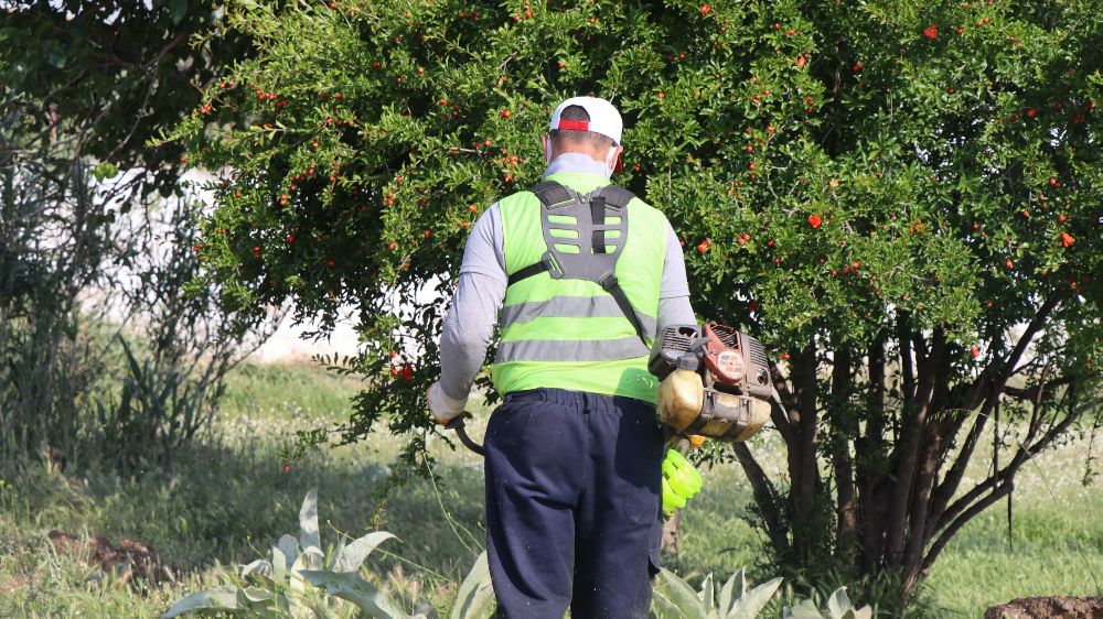 Aşağı Nazilli’de saha çalışmaları artırılıyor