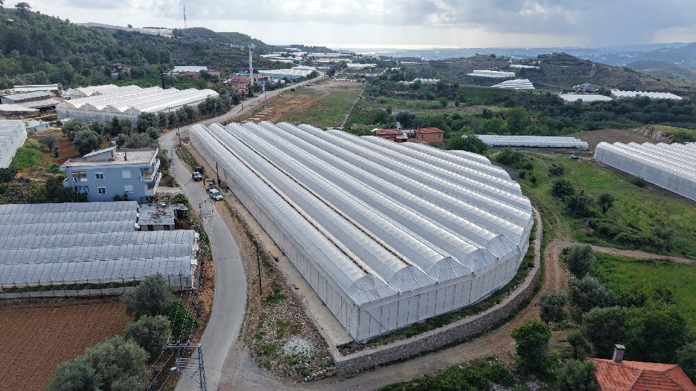 Başkan Özçelik: "Tropikal meyve seramız tarımsal turizm ve eğitimine katkı sağlayacak"