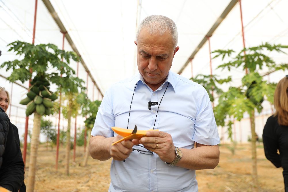 Başkan Özçelik: "Tropikal meyve seramız tarımsal turizm ve eğitimine katkı sağlayacak"