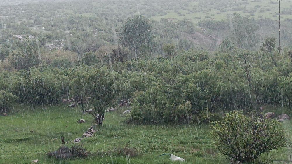 Diyarbakır Dicle'de dolu felaketi Ekinler büyük zarar gördü