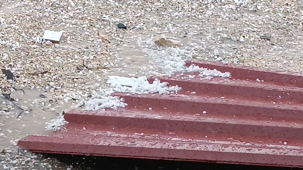 Diyarbakır Dicle'de dolu felaketi Ekinler büyük zarar gördü