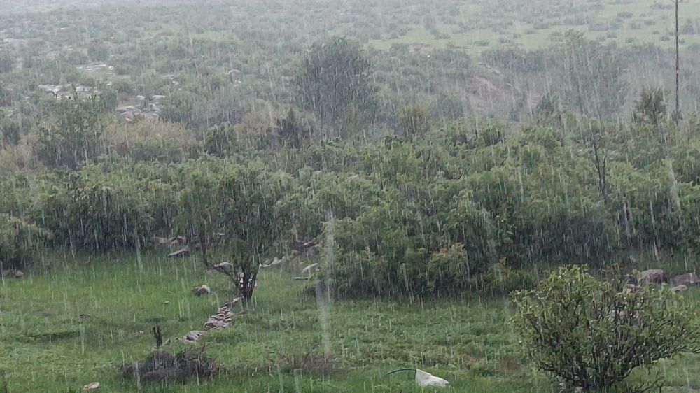 Diyarbakır Dicle'de dolu felaketi Ekinler büyük zarar gördü