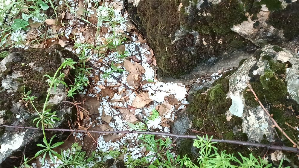 Diyarbakır Dicle'de dolu felaketi Ekinler büyük zarar gördü