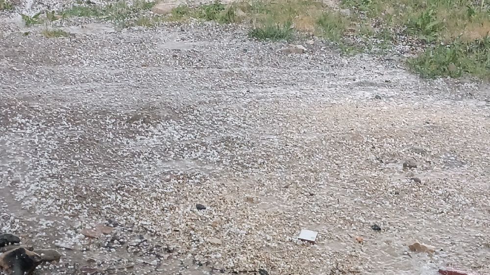 Diyarbakır Dicle'de dolu felaketi Ekinler büyük zarar gördü