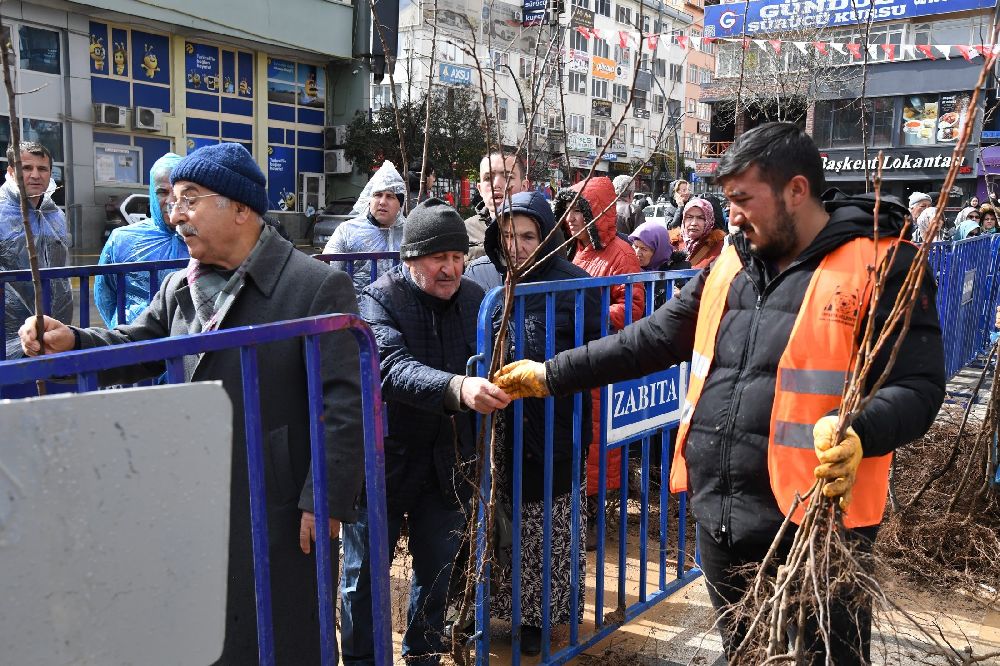 Isparta Belediyesi ücretsiz meyve fidanı dağıtacak