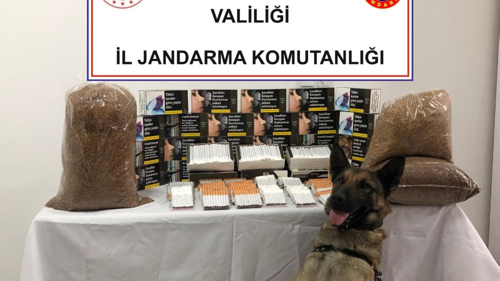  Jandarmadan kaçak makaron operasyonu