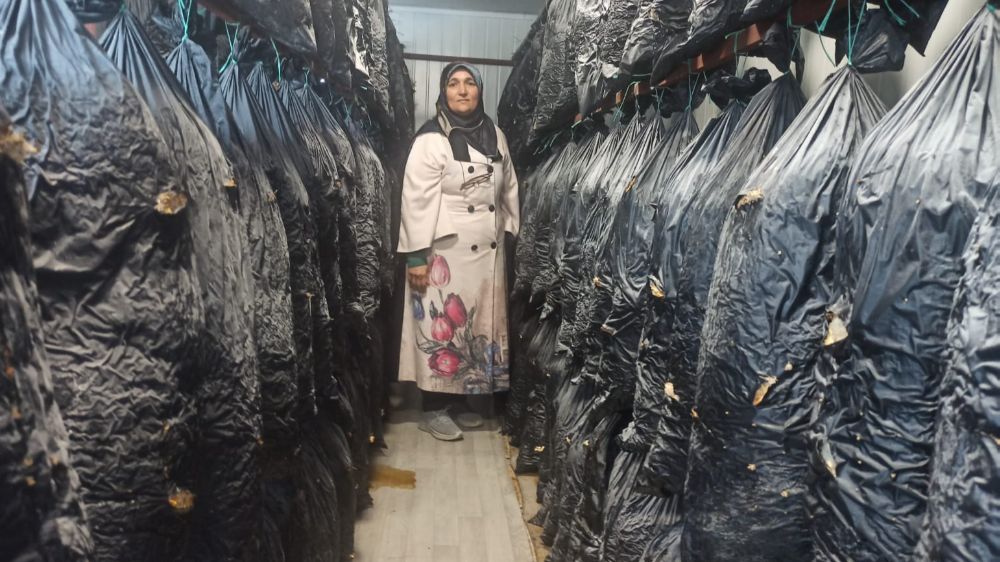 Malatyalı kadınlar konteynerde üretim yapıyor