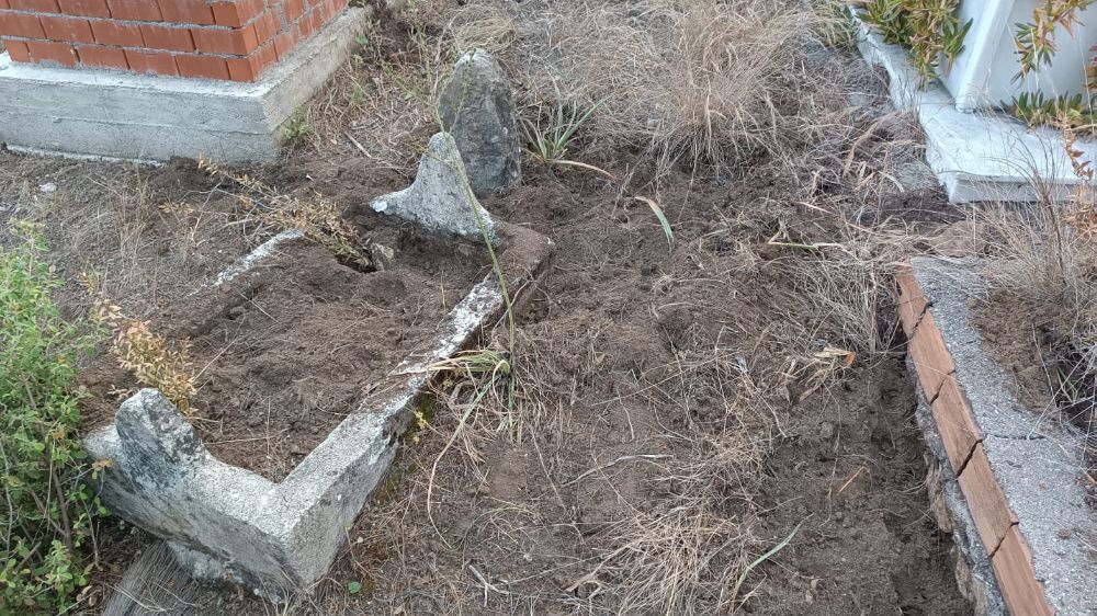 Yaban domuzları mezarlara zarar verdi, mahalleli tel örgü istedi