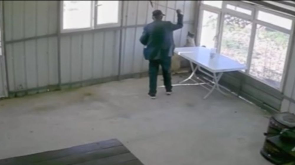 81 yaşındaki şahıs köy kahvesinde bakılan köpeğe dehşeti yaşattı