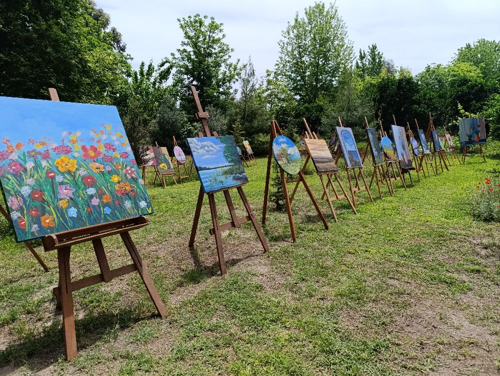 Adana'da 13 yaşındaki ikizler sergi açtı