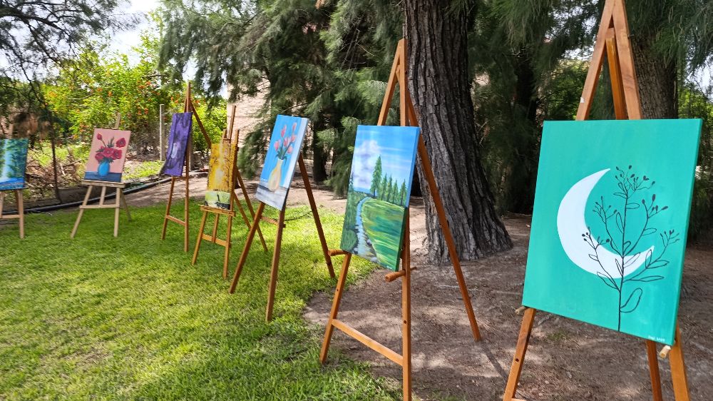 Adana'da 13 yaşındaki ikizler sergi açtı