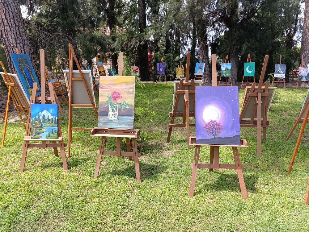 Adana'da 13 yaşındaki ikizler sergi açtı