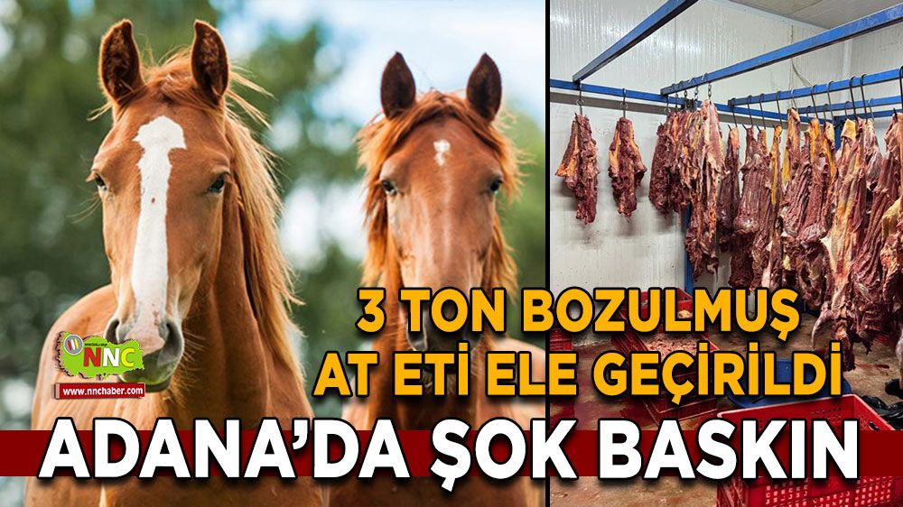 Adana'da şok baskın 3 ton bozulmuş tek tırnaklı eti ele geçirildi