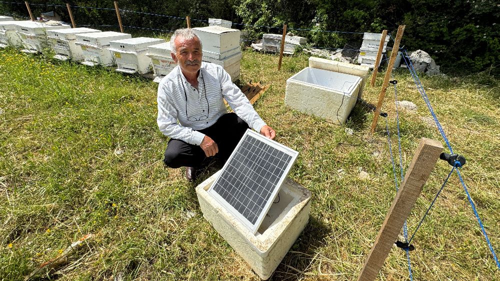 Antalya'da arı kovanlarına dadanan ayılara elektrik telli önlem
