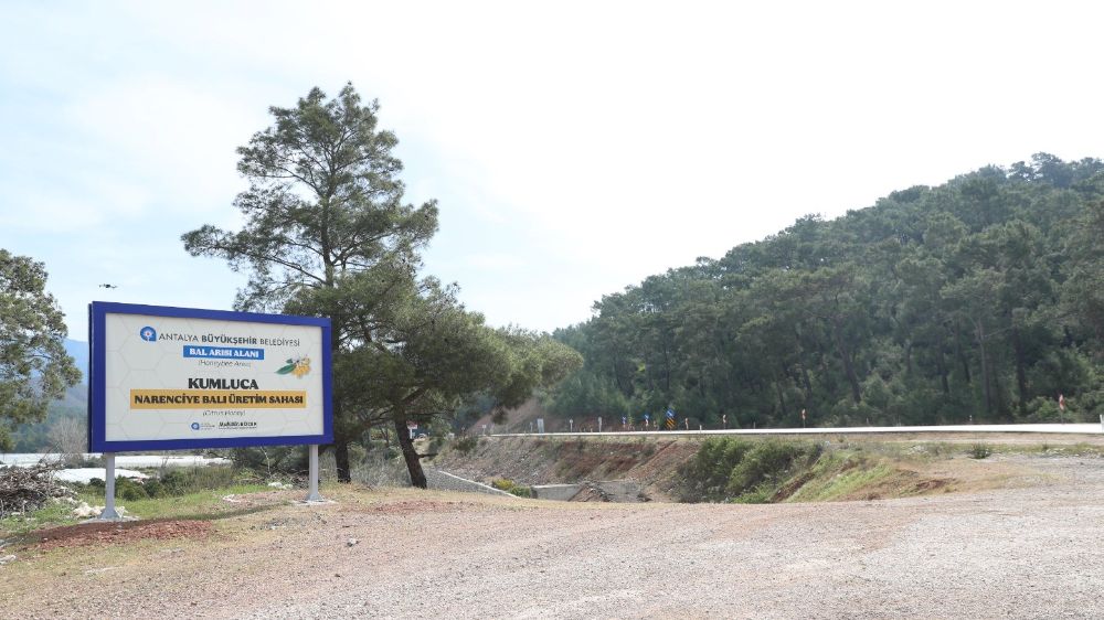 Antalya'da narenciye balı için coğrafi işaret tescil çalışması
