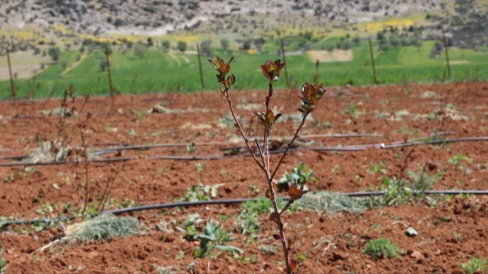 Antalya'da tarımsal sulama projeleriyle tersine göç hızlandı