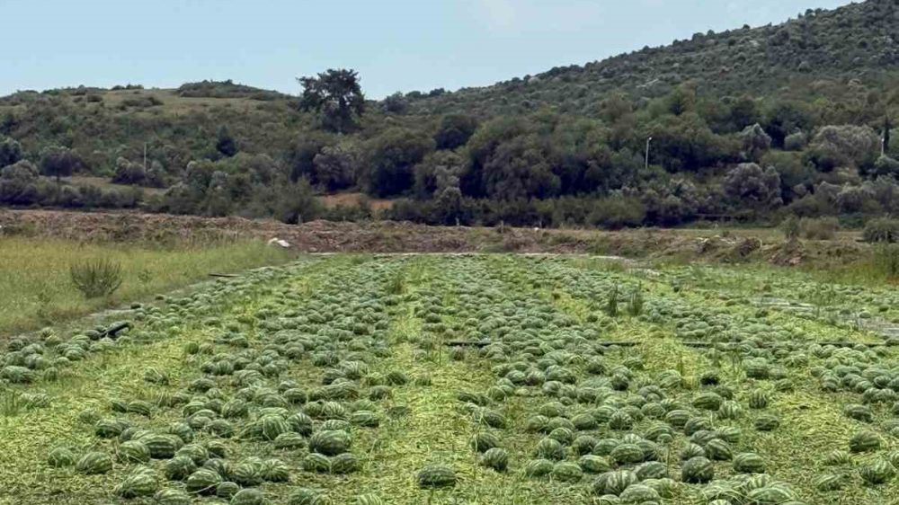 Antalya Serik’te sağanak ve dolu tarım arazilerine zarar verdi