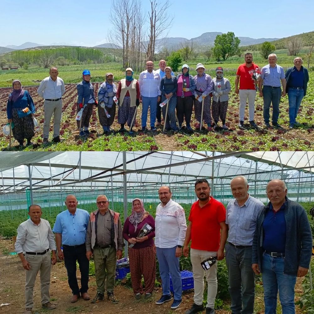 Başkan Yücel özel günde anneleri unutmadı Karanfil dağıtarak jest yaptı