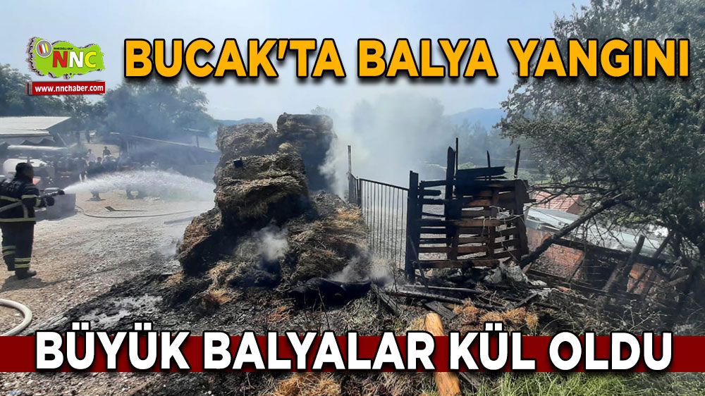 Bucak'ta balyalar alevlere teslim! Ekipler seferber oldu