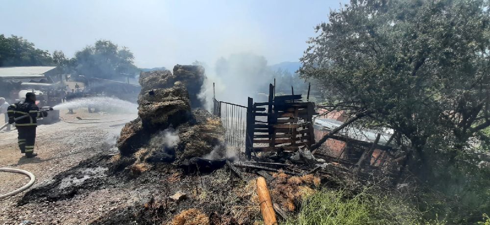 Bucak'ta balyalar alevlere teslim! Ekipler seferber oldu