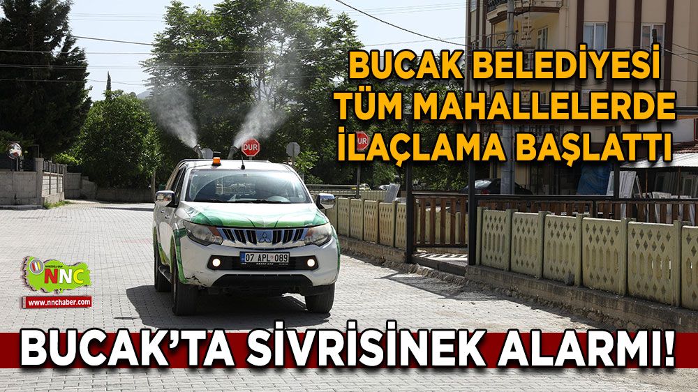 Bucak’ta sivrisinek alarmı! Belediye tüm mahallelerde ilaçlama başlattı