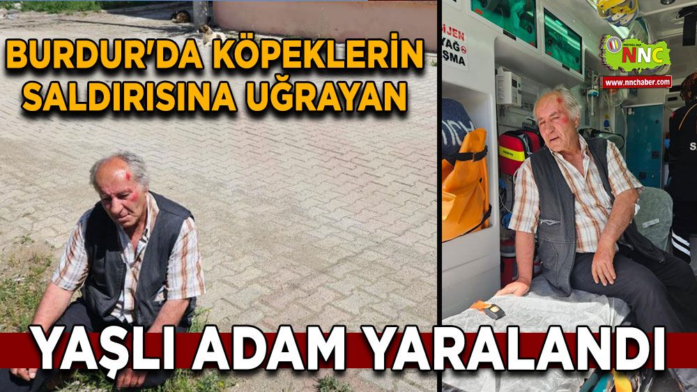 Burdur'da köpeklerin saldırısına uğrayan yaşlı adam yaralandı