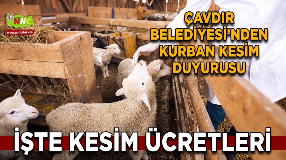 Çavdır Belediyesi’nden kurban kesim duyurusu İşte kesim ücretleri
